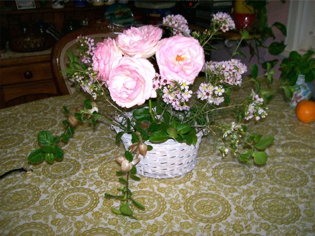 PinkRoses in vase